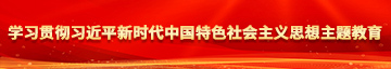 午夜女插逼学习贯彻习近平新时代中国特色社会主义思想主题教育